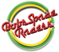 Bobs Space Racers